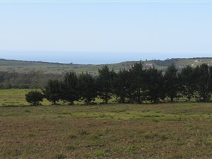 30 ha Farm in Kragga Kamma