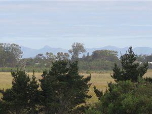30 ha Farm in Kragga Kamma