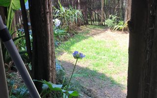 2 Bedroom Garden Cottage in Benoni North AH