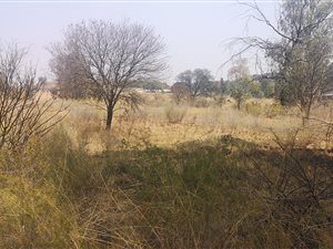 2.7 ha Land available in Walkers Fruit Farms