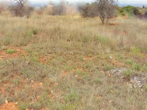 1437 m² Land available in Sterpark