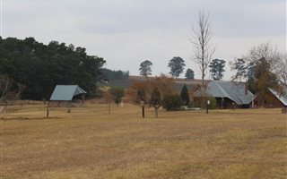 5.1 ha Farm in Greytown