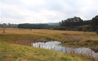 5.1 ha Farm in Greytown