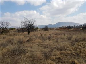 1292 m² Land available in La Camargue