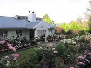 3 Bed House in Hogsback