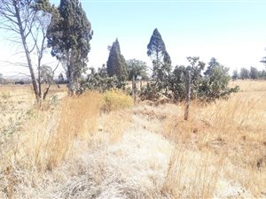 1 ha Land available in Homestead Apple Orchards