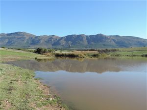 423 ha Farm in Tulbagh