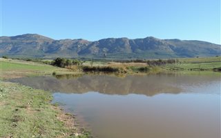 423 ha Farm in Tulbagh