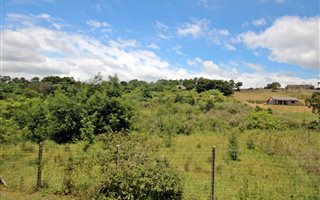 1.1 ha Land available in Crestholme