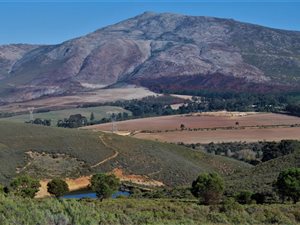 13.9 ha Farm in Bot River