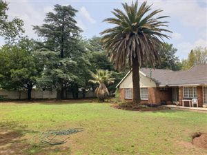 3 Bed House in Three Rivers