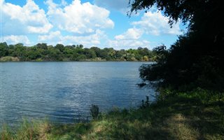 1 Bedroom House in Bothaville