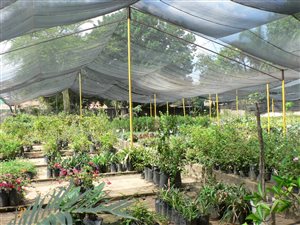 2.2 ha Farm in Waterkloof