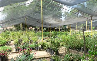 2.2 ha Farm in Waterkloof