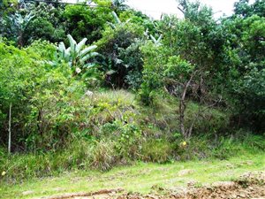 1349 m² Land available in Ramsgate