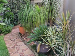 3 Bed House in Kengies