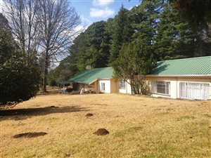 23 ha Farm in Kamberg