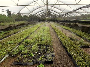10 ha Land available in Nseleni