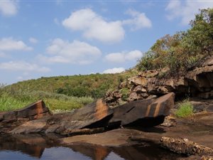 Game Farm in Vaalwater