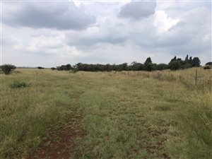 15.3 ha Farm in Boschkop