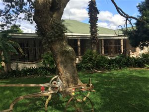 5 Bed House in Paulpietersburg
