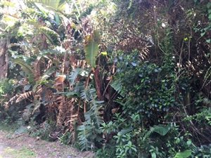 1183 m² Land available in Trafalgar