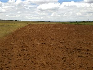 85.6 ha Farm in Kungwini Country Estate