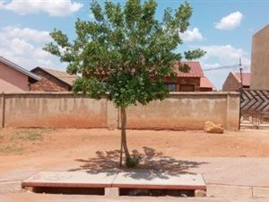 2 Bed House in Tembisa