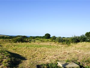 1291 m² Land available in Hawaan Forest Estate