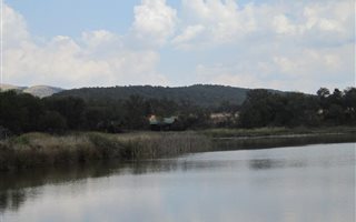 240 ha Farm in Naboomspruit