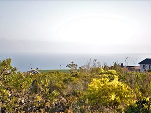 1004 m² Land available in Dana Bay