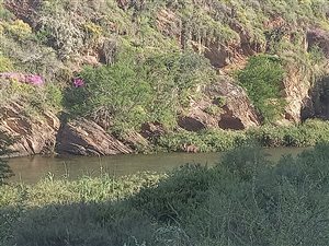 50 ha Farm in Albertinia