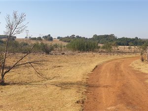 5 ha Farm in Rietfontein