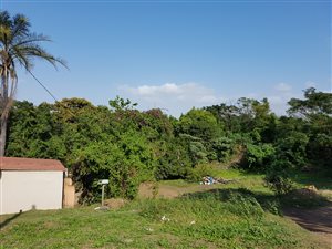 2400 m² Land available in Sea Cow Lake