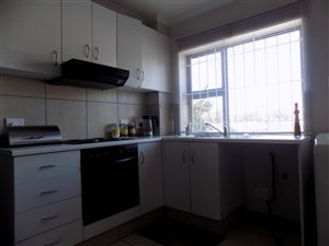 1 Bedroom Apartment in Boston