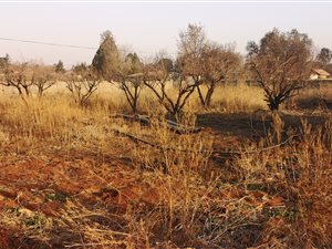 1492 m² Land available in Daleside