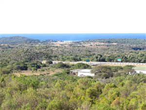 28038 ha Farm in Seafield