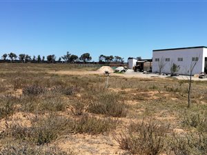 2 ha Farm in Vredenburg