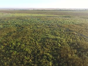 360 ha Farm in Hertzogville