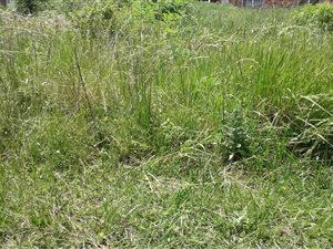 448 m² Land available in Klaarwater