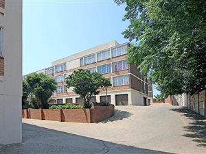 Bachelor apartment in Proclamation Hill