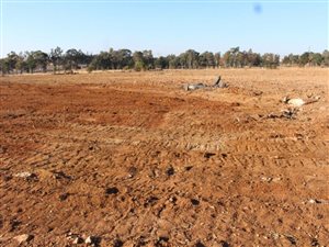 2.1 ha Land available in Knopjeslaagte