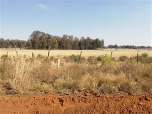 1 ha Land available in Rietkol AH