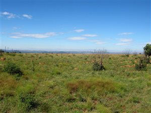 5 ha Land available in Honingnestkrans