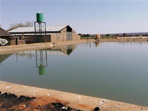25 ha Farm in Hartswater
