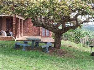 2 ha Smallholding in Ashburton