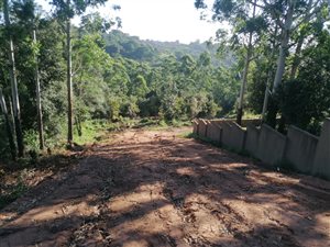 1.2 ha Land available in Crestholme
