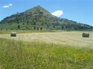 396 ha Farm in Fouriesburg