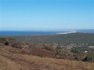 115.4 ha Farm in Jeffreys Bay