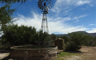 1716 ha Farm in Merweville